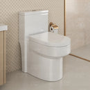 Vaso Sanitário Monobloco Caixa Acoplada Privada Completo Cor Branco - VAB0004